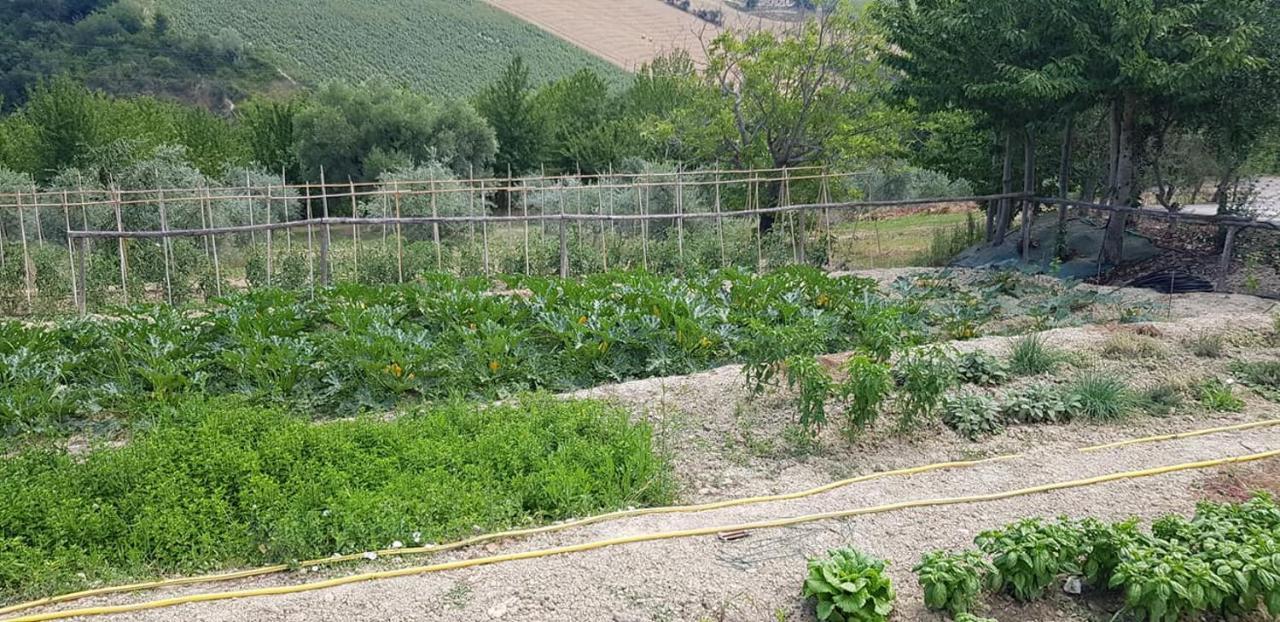 Agriturismo Fiore Di Campo 페르모 외부 사진